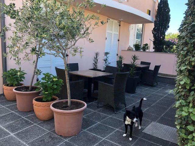 באסקה Apartments Eda מראה חיצוני תמונה